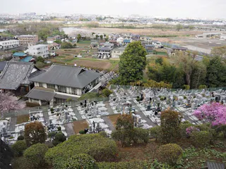 大蔵院