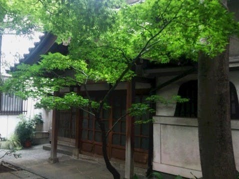 天陽院の画像