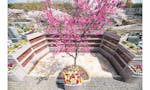 船橋 昭和浄苑 樹木葬 桜の樹木葬（家族・単身区画）