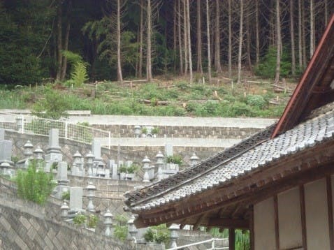 松林寺の画像
