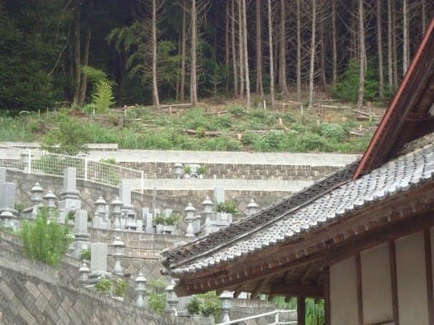 松林寺