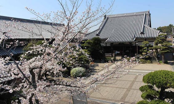 和歌山市城下町の「寿光苑」