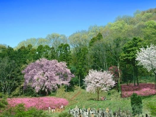 金鳳山 龍散禅寺