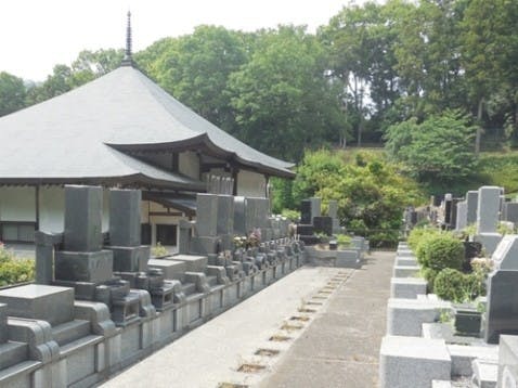 金鳳山 龍散禅寺の画像