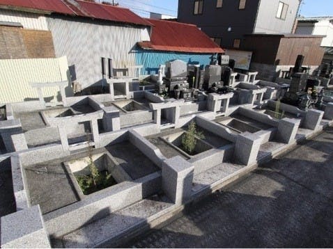 真證寺の画像