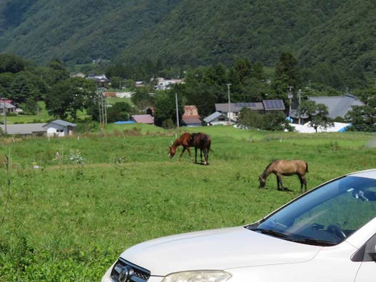 千年樹木葬・里山自然葬