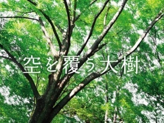 千年樹木葬・里山自然葬