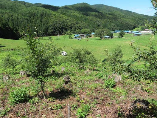 千年樹木葬・里山自然葬