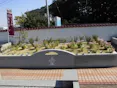 第二武蔵野霊園・白峯墓地 樹木葬