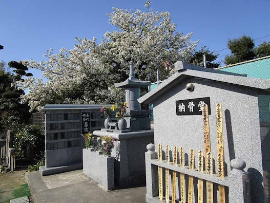 蓮照寺 慈恩の塔