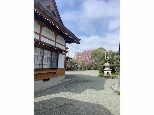 東学寺 一般墓・十三仏供養塔・花壇墓地