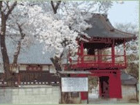 西慶寺の画像