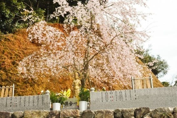 樹木葬の広源寺