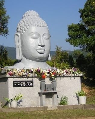 樹木葬の広源寺