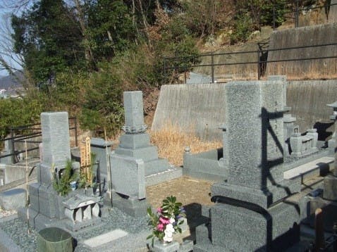 中原墓圓の画像
