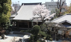 小石川浄苑の画像
