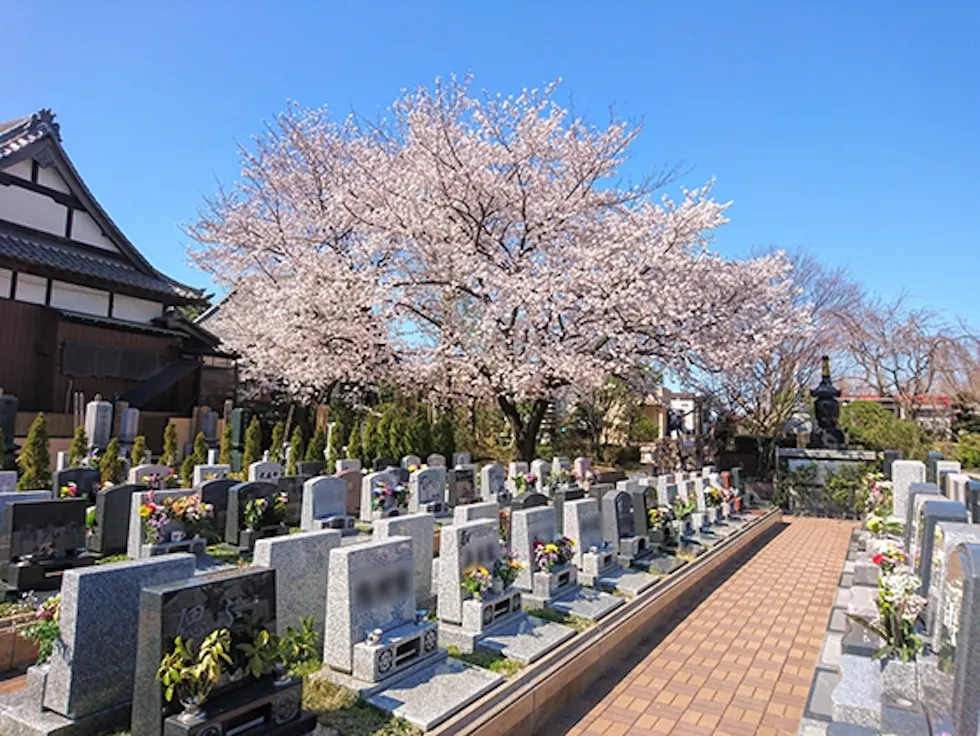 染谷の里 大宮四季彩霊苑(染谷)の霊園