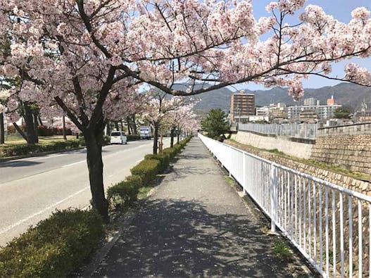 石屋墓園 樹木葬