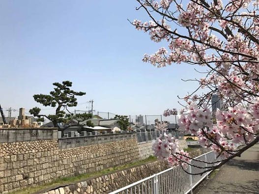 石屋墓園 樹木葬