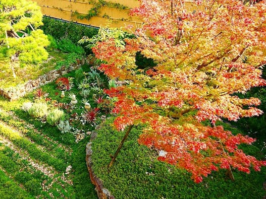 速成寺 納骨堂・樹木葬・一般墓