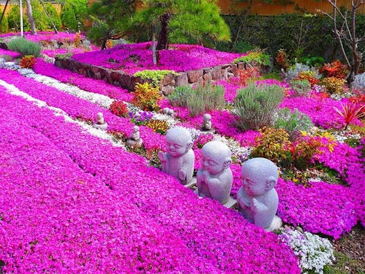 速成寺 納骨堂・樹木葬・一般墓