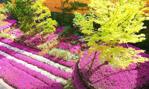 速成寺 納骨堂・樹木葬・一般墓