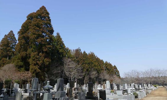 妙興寺霊園 樹林墓