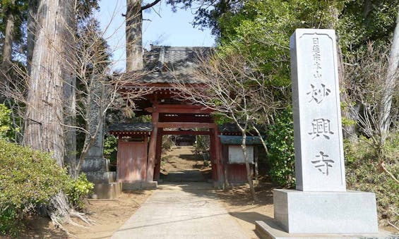 妙興寺霊園 樹林墓