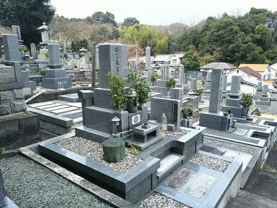 松山市営 太山寺墓地の画像