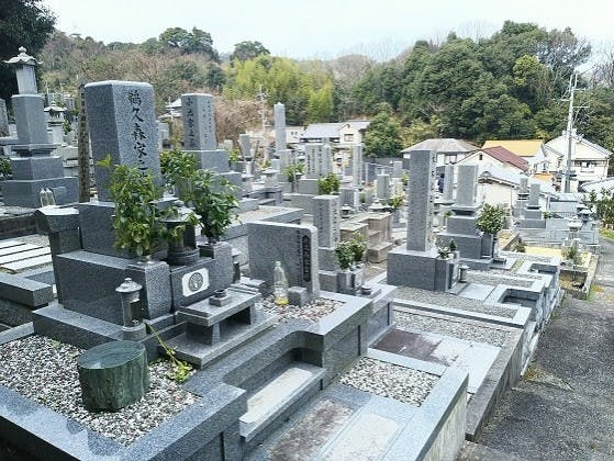 松山市営 太山寺墓地の画像