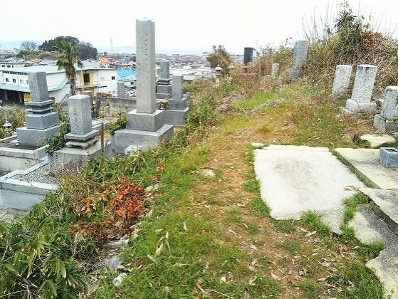 松山市営 馬木墓地の画像