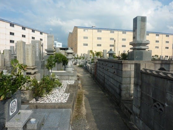 松山市営 和気墓地の画像