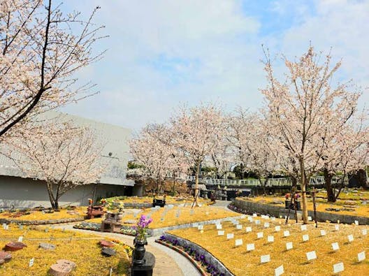 太陽の塔桜ヶ丘・コスモガーデン桜ヶ丘