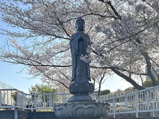 太陽の塔桜ヶ丘・コスモガーデン桜ヶ丘