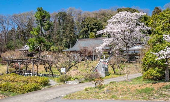 金澤寺墓苑 永代供養墓・樹木葬