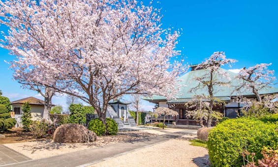 浄安寺墓苑 永代供養墓・樹木葬