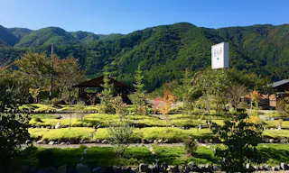 義仲メモリアルパーク（土に還る樹木葬）