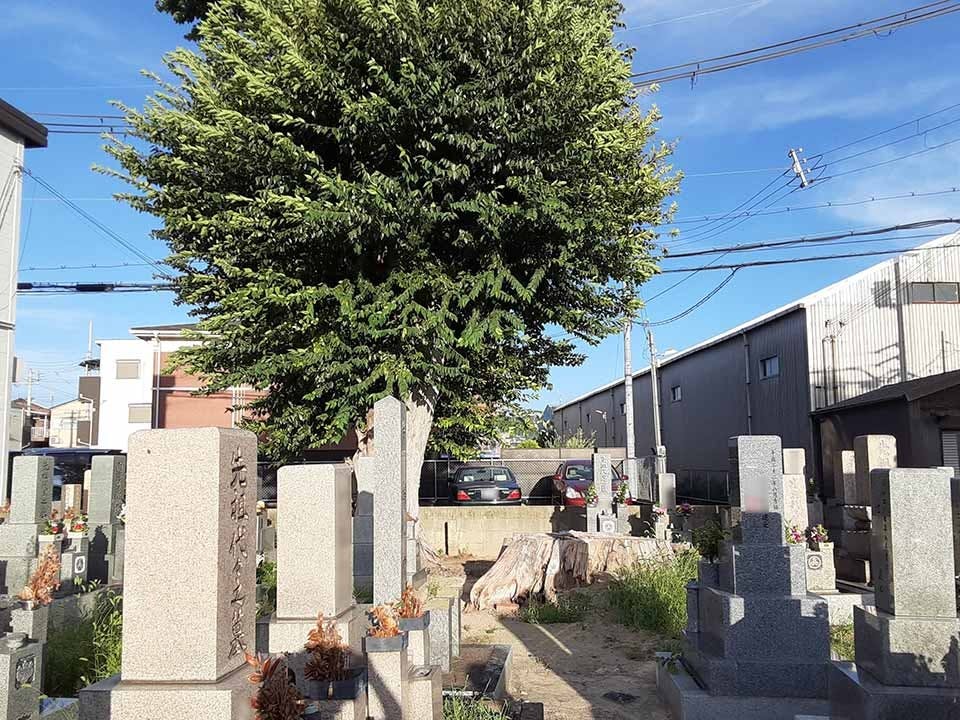 堀溝・新家墓地(寝屋川市)の費用・販売中区画・口コミ【いいお墓】
