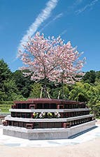 横浜三保浄苑 樹木葬・一般墓の画像