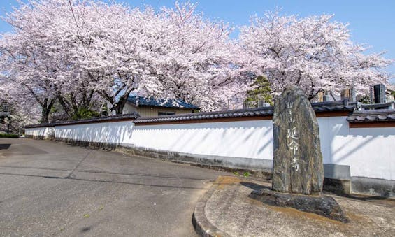 延命寺墓苑 永代供養墓・樹木葬