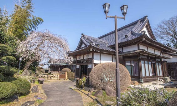 延命寺墓苑 永代供養墓・樹木葬