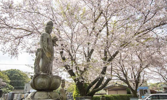 延命寺墓苑 永代供養墓・樹木葬