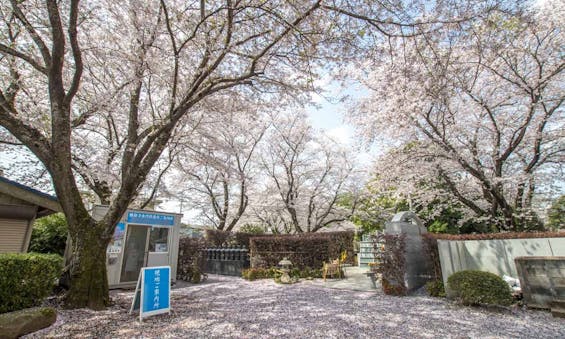 延命寺墓苑 永代供養墓・樹木葬