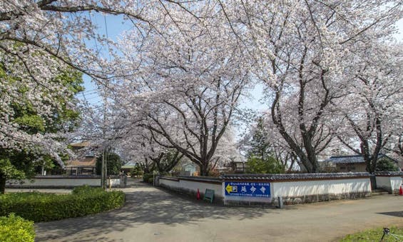 延命寺墓苑 永代供養墓・樹木葬