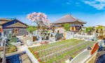 廣済寺墓苑 永代供養墓・樹木葬 日当たりの良い明るい墓域
