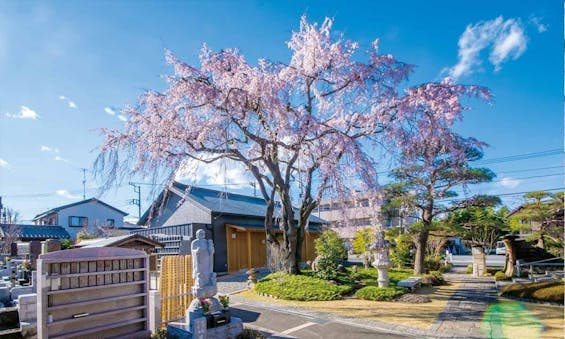 廣済寺墓苑 永代供養墓・樹木葬