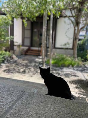 粟嶋堂宗徳寺 納骨堂