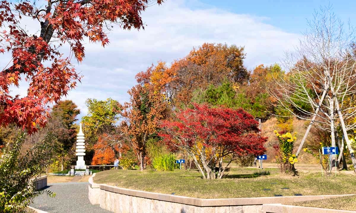 いわて奥州・北上 「自然葬 国見の里」