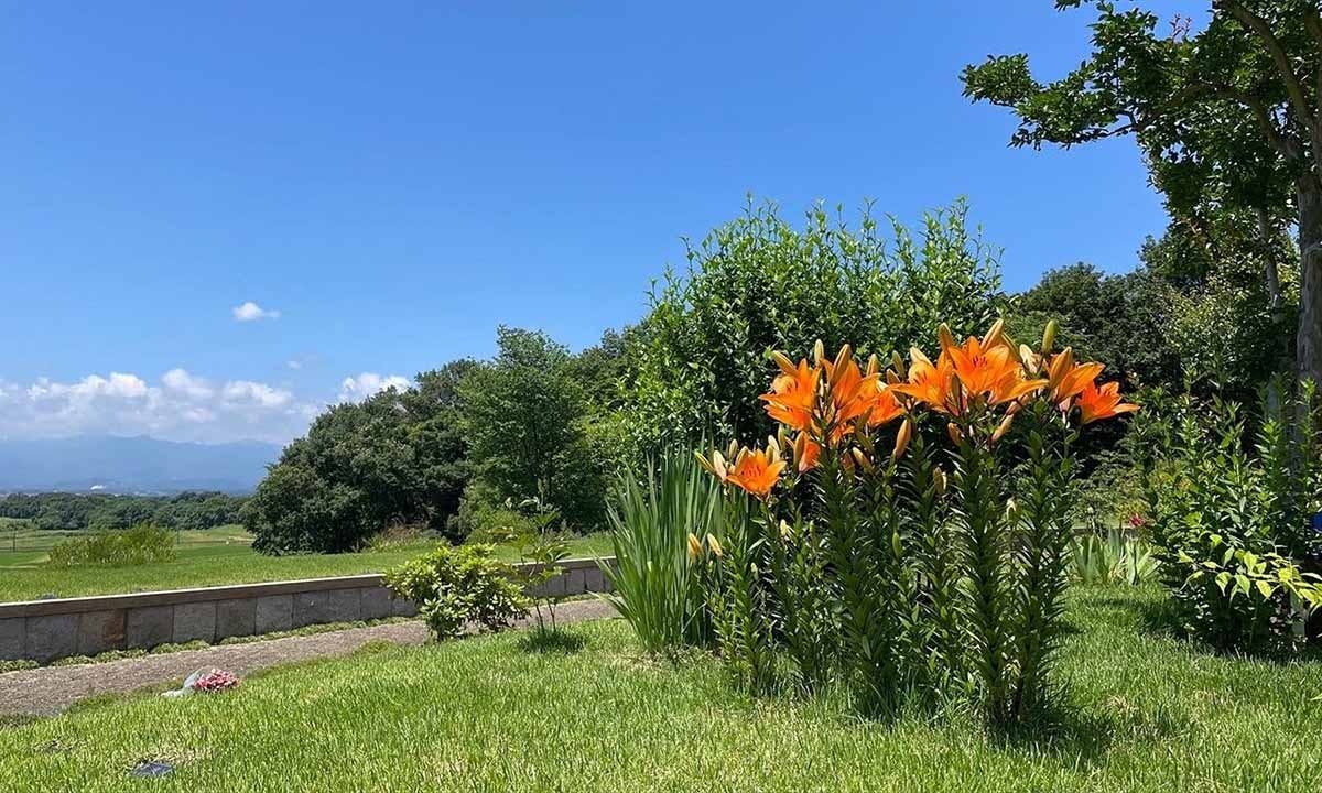 いわて奥州・北上 「自然葬 国見の里」