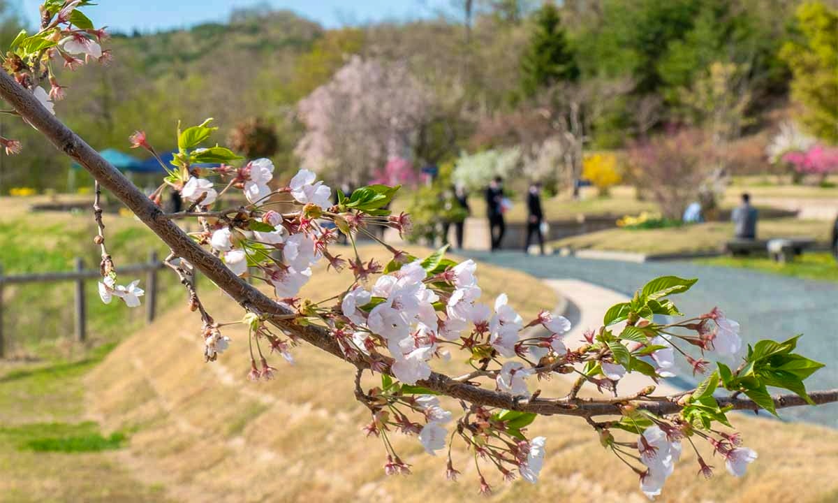 いわて奥州・北上 「自然葬 国見の里」